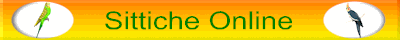 Sittich.Net